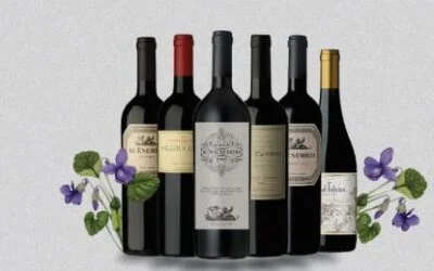 Cuarenta con Vinos de Vigil