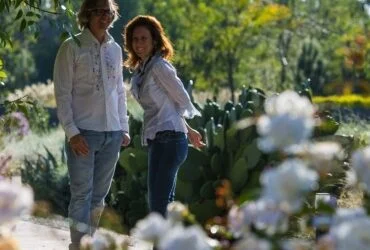 Propuestas para el Día de los Enamorados