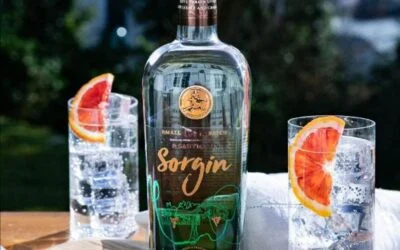 François y Sabine Lurton, presentan Gin Sorgin y Vermouth Léonce Malbec