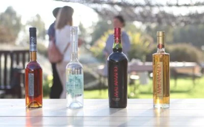 Cata de lujo con Club Vea Vinos