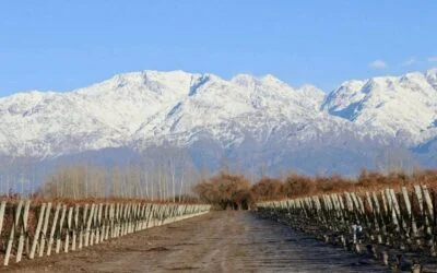 Valle Las Nencias: una bodega que busca equilibrio entre tradición e identidad