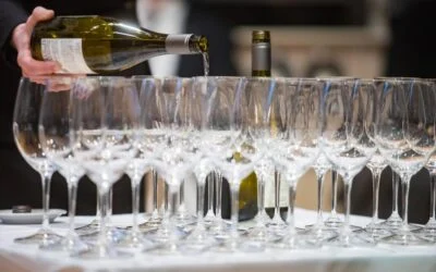 Llega a Mendoza el Concurso Mejor Sommelier de Argentina 2022