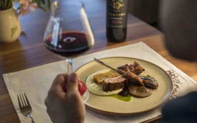 Experiencia enológica y de gastronomía gourmet.