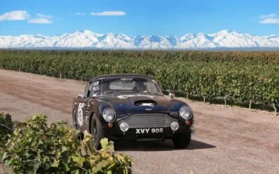 Llega la 20ª edición del Rally de las Bodegas