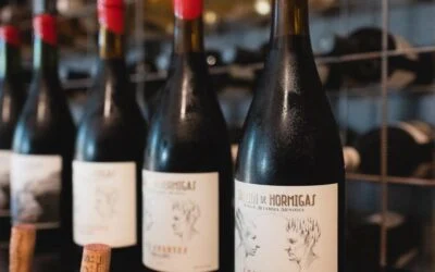 100 Puntos para Altos las Hormigas Jardín de Hormigas, Los Amantes Malbec 2021