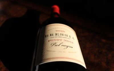Piel Negra Pinot Noir 2020 by Bodega Bressia