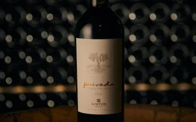 Bodega Norton obtuvo 97 puntos en Decanter World Wine Awards 2023.