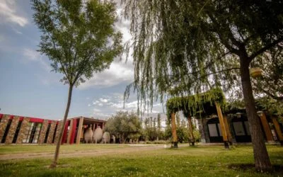Primer encuentro de cultivos andinos en Mendoza.