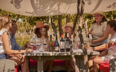 Mendoza te invita a ser enólogo y bartender por un día