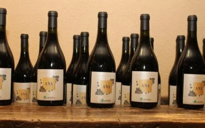 Verallia presentó Borgoña Ana