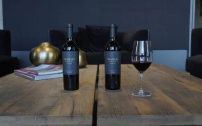 Bramare un Malbec que evoluciona y refleja el terroir mendocino