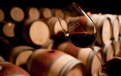 En el Día Internacional del Pinot Noir, Bodega Familia Schroeder propone un viaje sensorial