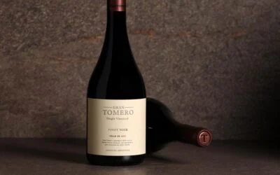 Bodega Vistalba celebra el Día Internacional del Pinot Noir con GRAN TOMERO Pinot Noir 2023