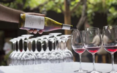 Llegá la VI edición Feria de Terruños, de Karim Mussi Winemaker