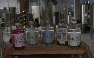 El Gin Terrier: El Protagonista de los Brindis