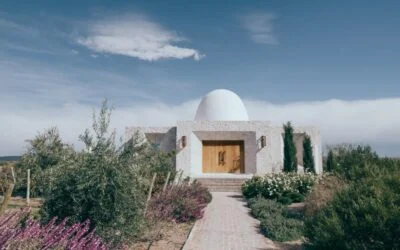 Viñedos, vinos y gastronomía de excelencia
