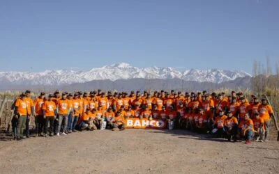 Vuelve el Desafío BAHCO: 13 años celebrando la poda, el oficio y la pasión