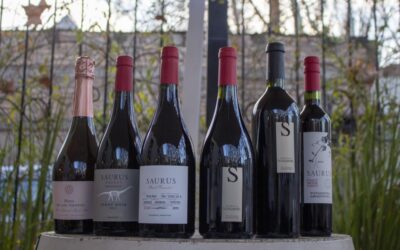 Bodega Familia Schroeder refuerza su presencia en Mendoza
