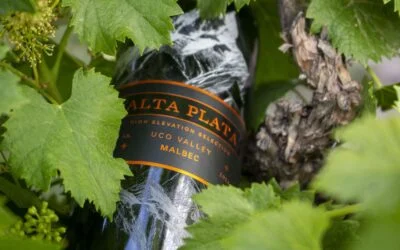 Lui Wines y Acclaimed Wine Company presentan Alta Plata Malbec: una colaboración entre Mendoza y Napa Valley