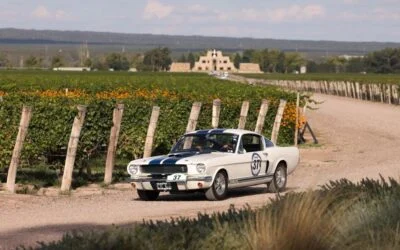23ª edición del Rally de las Bodegas «Copa Park Hyatt»