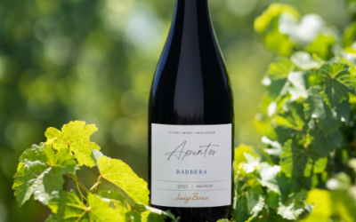 Luigi Bosca presenta Apuntes Barbera, una edición limitada que vuelve a las raíces